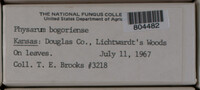 Image Associated With the Occurence